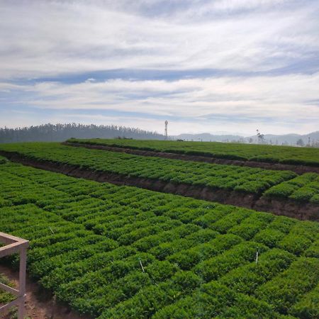 Brown Tree Resorts Ooty Exterior photo