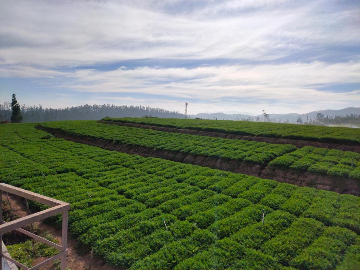 Brown Tree Resorts Ooty Exterior photo
